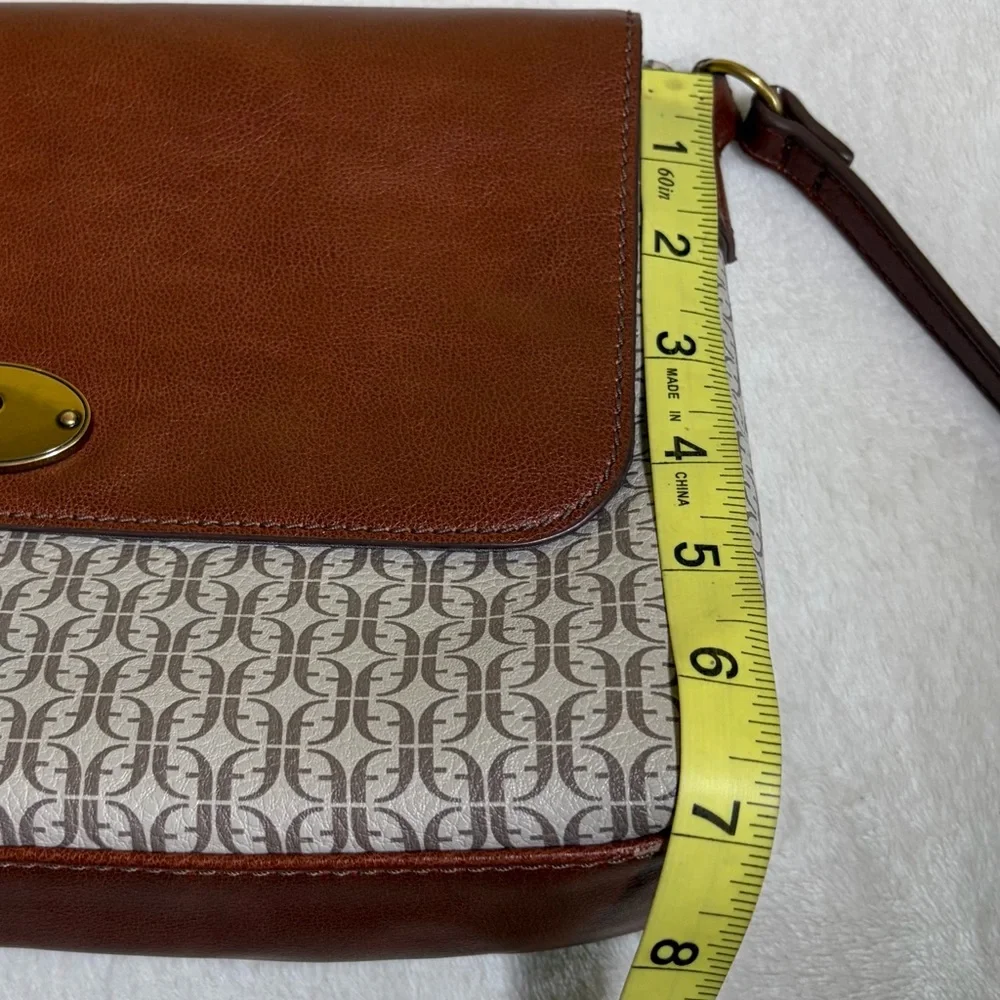 Fossil elegant brown